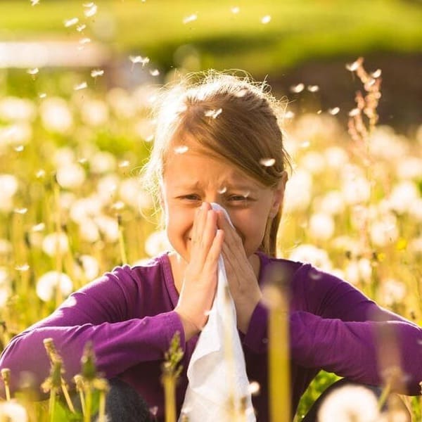 Jakie są najczęstsze alergie?